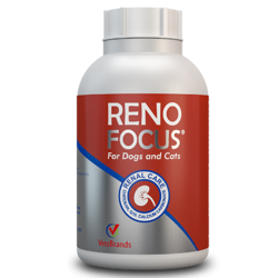 RenoFocus
